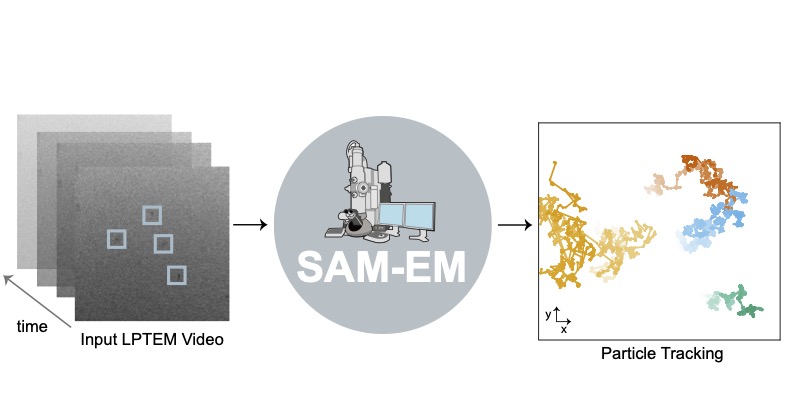 SAM-EM TOC